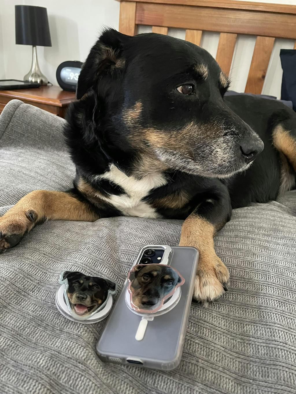 Handmade Personalised Pet Photo Magsafe Phone Grip - by Cherique Studio