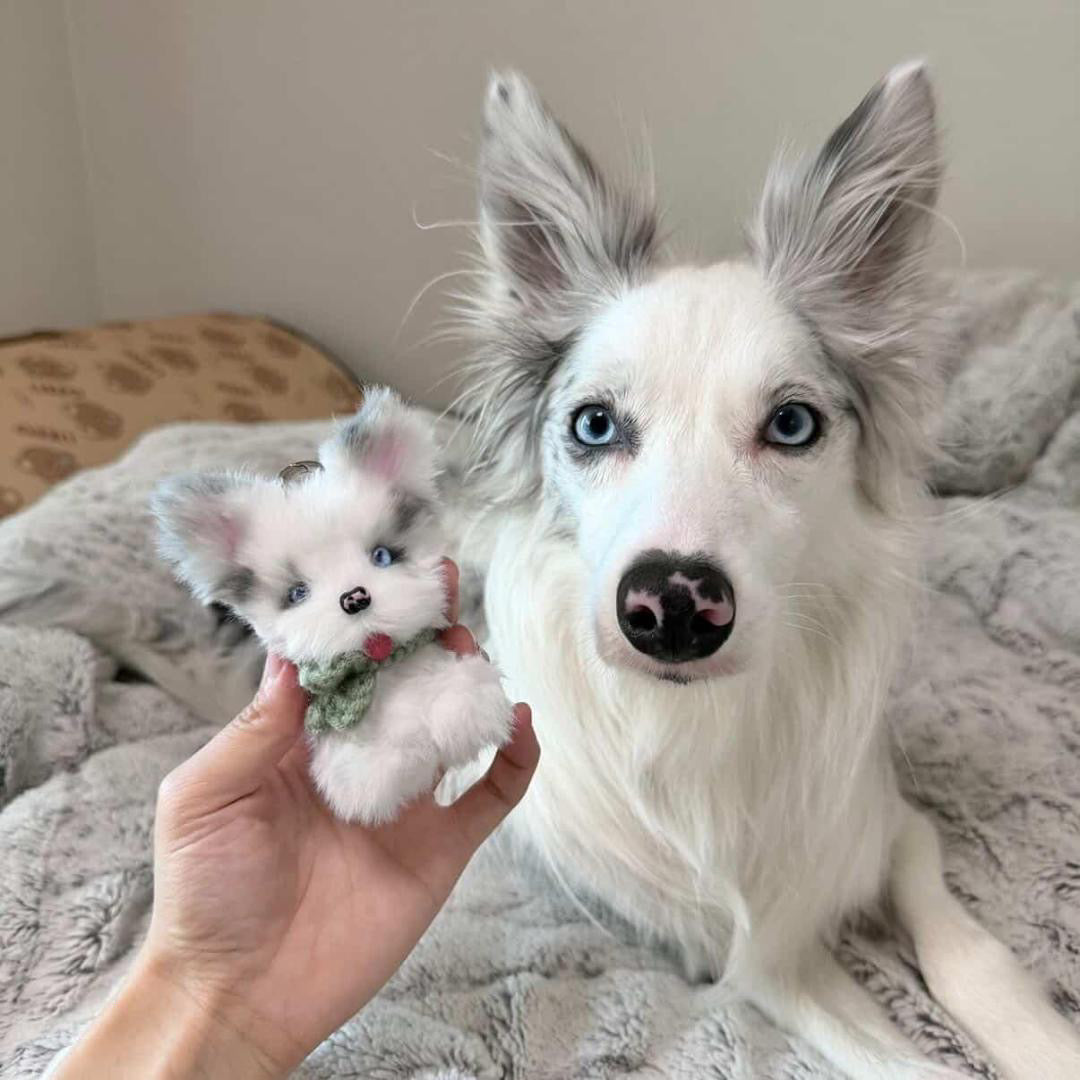 Personalised Chenille Pet Keyring - Handmade by Lucky Fosil Friends
