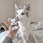 Personalised Chenille Pet Keyring - Handmade by Lucky Fosil Friends