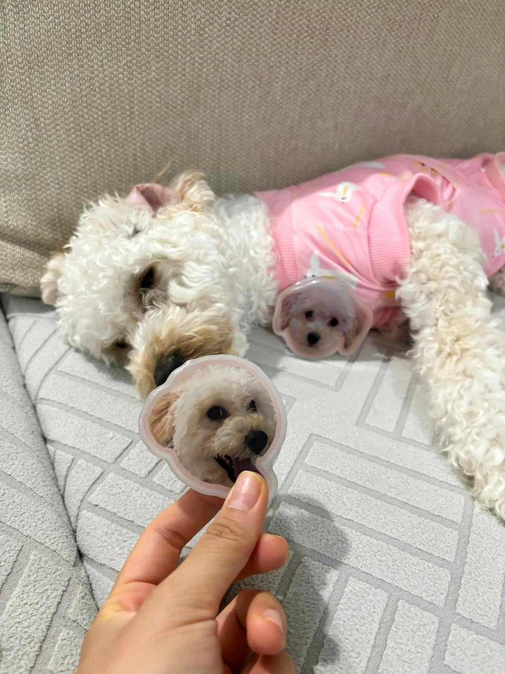 Handmade Personalised Pet Photo Magsafe Phone Grip - by Cherique Studio